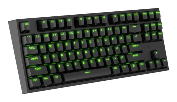 Tastatura gaming mecanica cu fir Genesis Thor 404 TKL - NKG-2069
