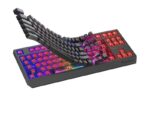 Tastatura gaming mecanica wireless Genesis Thor 230 TKL - NKG-2106