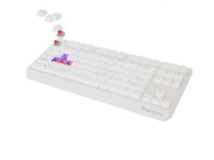 Tastatura gaming mecanica wireless Genesis Thor 230 TKL - NKG-2165