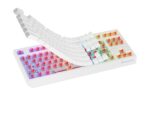 Tastatura gaming mecanica wireless Genesis Thor 230 TKL - NKG-2165