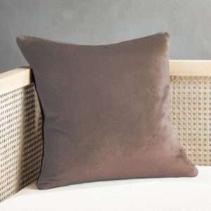 Velvet Decorative Pillows 45x45 cm - HR-PLW45VLV-BEJ