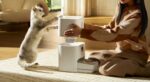 Xiaomi Smart Pet Food Feeder 2 - BHR9030EU - imagine 6